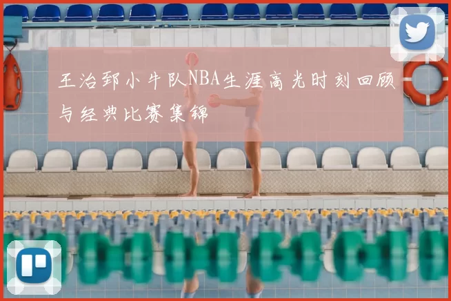 王治郅小牛队NBA生涯高光时刻回顾与经典比赛集锦