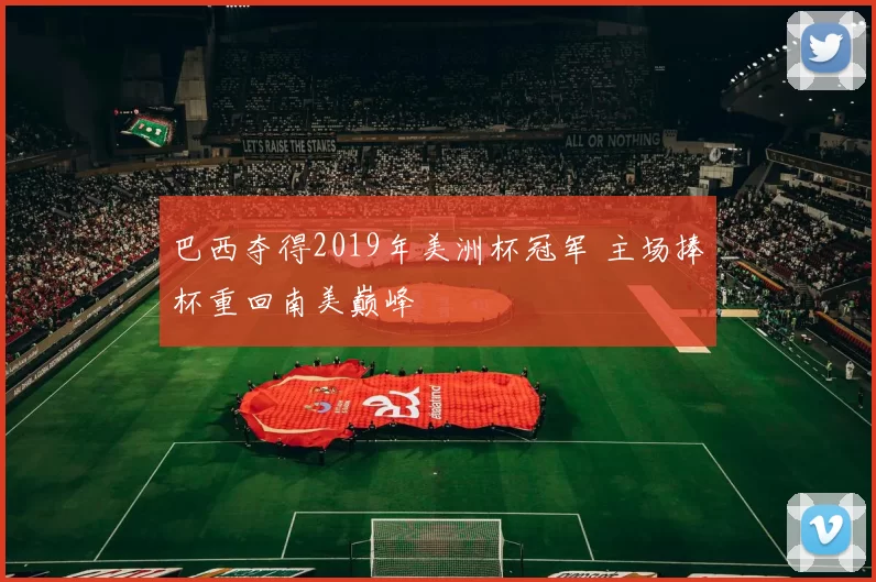 巴西夺得2019年美洲杯冠军 主场捧杯重回南美巅峰