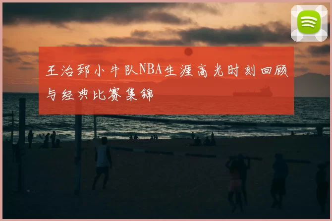 王治郅小牛队NBA生涯高光时刻回顾与经典比赛集锦